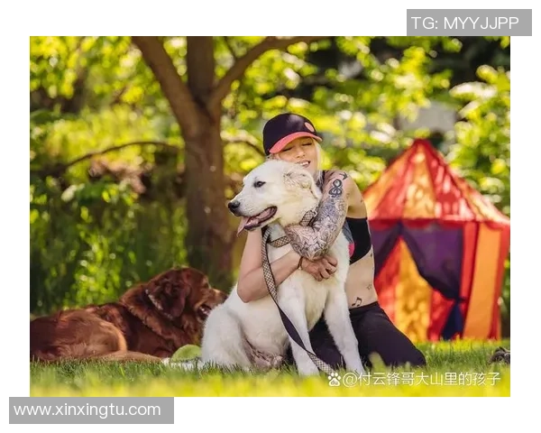 从狗子的视角看人生哲学与自我修养的深刻启示